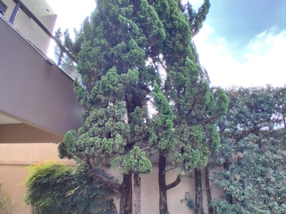 Casa à venda com 4 dormitórios no Residencial Alphaville 11, Santana de Parnaíba – SP