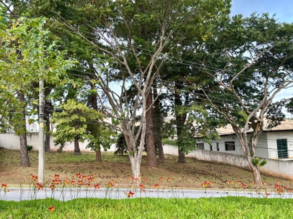 Residencial 1