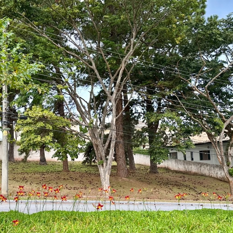 Residencial 1