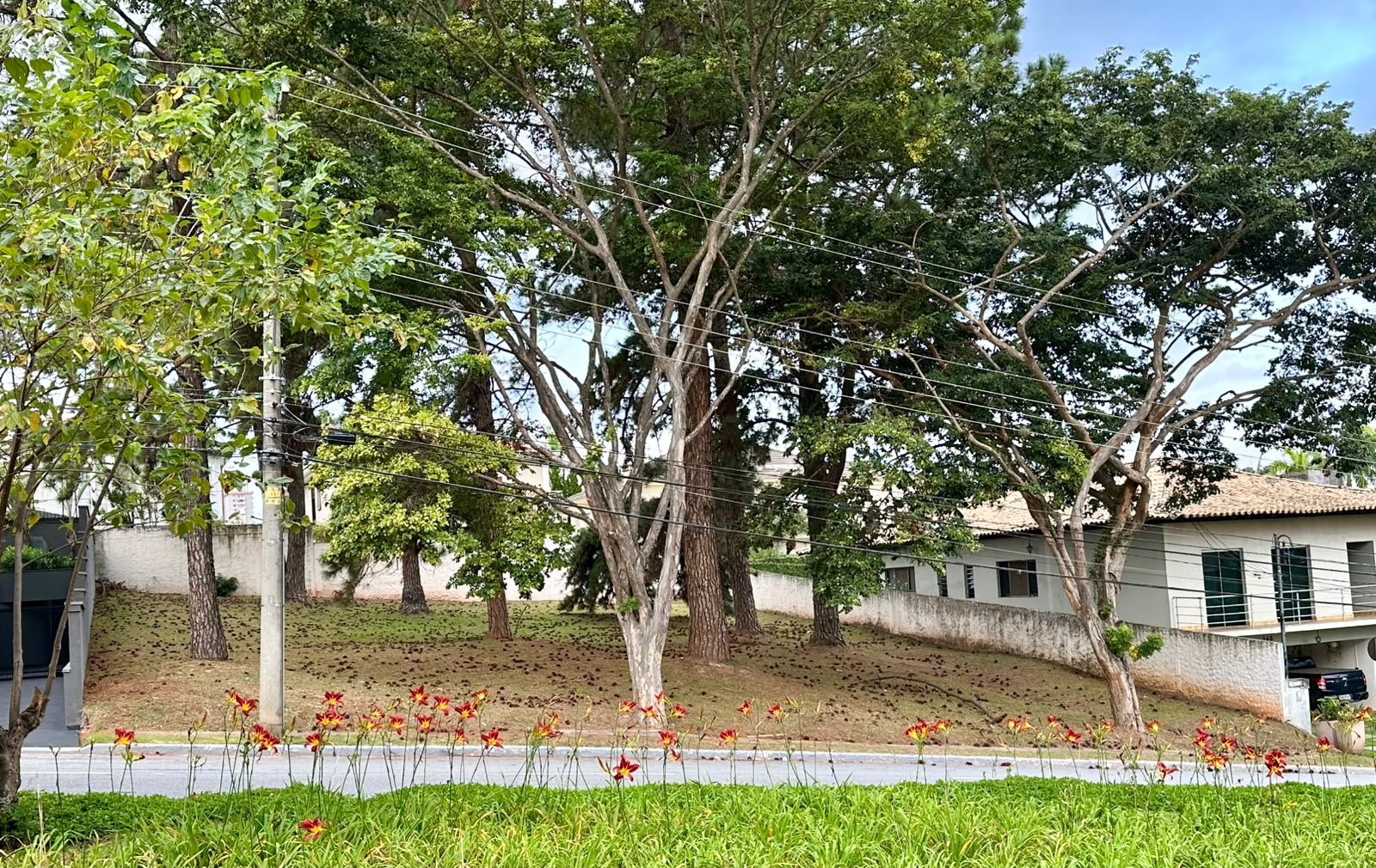 Residencial 1